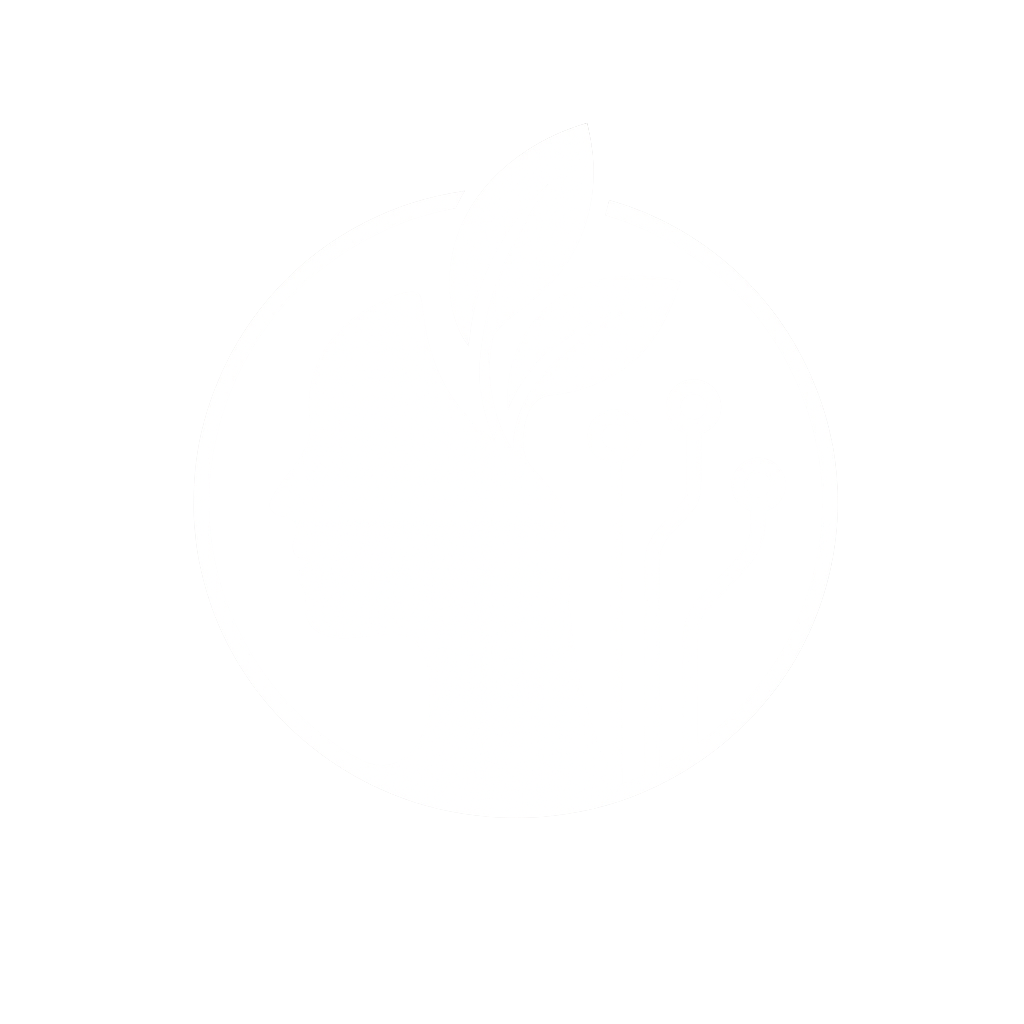 Vivência Digital